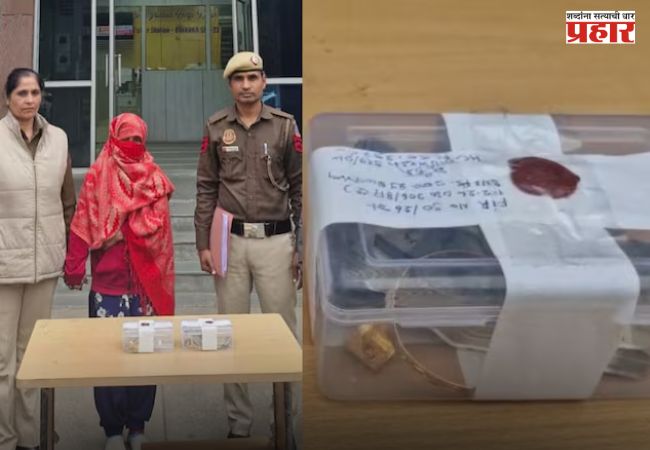 Delhi Crime: पलंगाखाली सापडला खजिना, मोलकरीण ३० लाखांचे दागिने घेऊन फरार