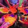 Holi Safety Tips And Tricks: होळीला बाजारात खरा रंग कसा ओळखायचा?