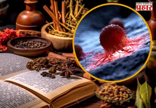 Cancer Fighting Food In Ayurveda: आयुर्वेदातील कोणते पदार्थ कर्करोगावर नियंत्रण ठेवू शकतात, जाणून घ्या