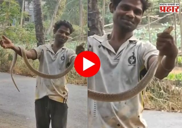 Virar: दारूच्या नशेत सापासोबत मस्ती बेतली जीवावर; विरारमध्ये तरुणाचा सर्पदंशाने दुर्दैवी मृत्यू