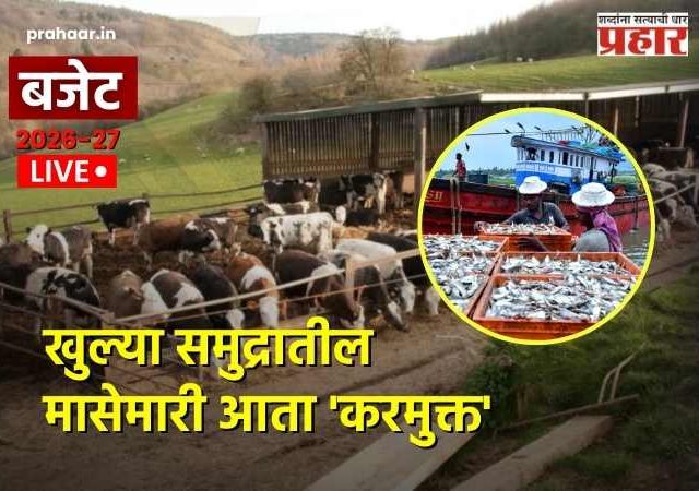 Budget 2026 : मच्छिमारांसाठी आनंदाची बातमी! खुल्या समुद्रातील मासेमारी आता 'करमुक्त'; निर्यातीला मिळणार मोठी गती
