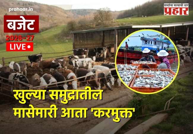 Budget 2026 : मच्छिमारांसाठी आनंदाची बातमी! खुल्या समुद्रातील मासेमारी आता ‘करमुक्त’; निर्यातीला मिळणार मोठी गती