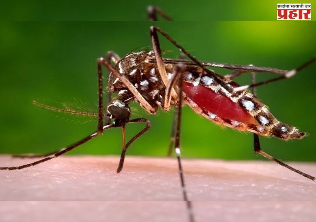 भारतातील मलेरिया रुग्णसंख्येत लक्षणीय घट