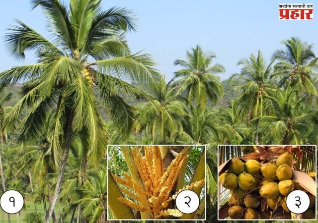 अर्थसंकल्पातून कोकणच्या आर्थिक विकासाला नवी दिशा