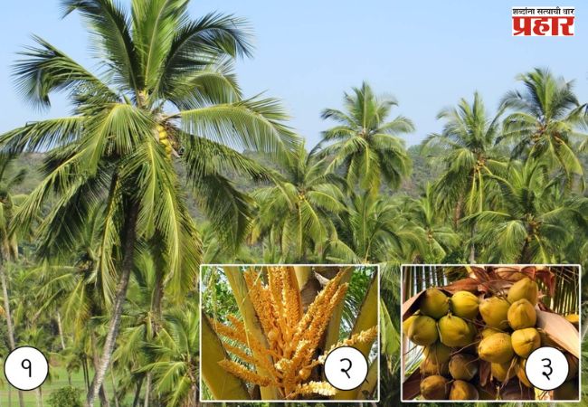 अर्थसंकल्पातून कोकणच्या आर्थिक विकासाला नवी दिशा