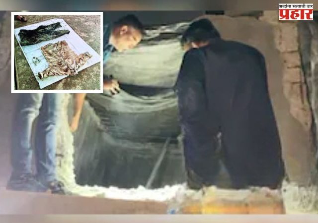 पाण्याच्या टाकीत मानवी हाडांचा सापळा