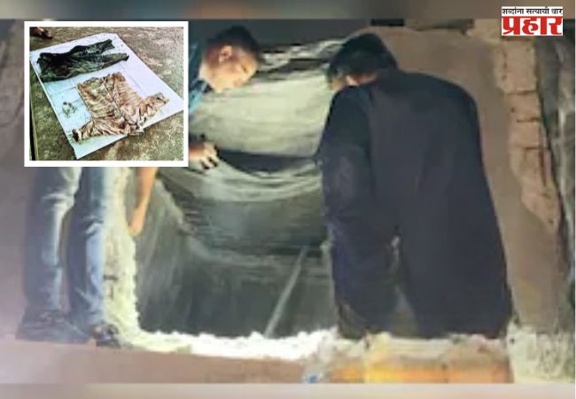 पाण्याच्या टाकीत मानवी हाडांचा सापळा