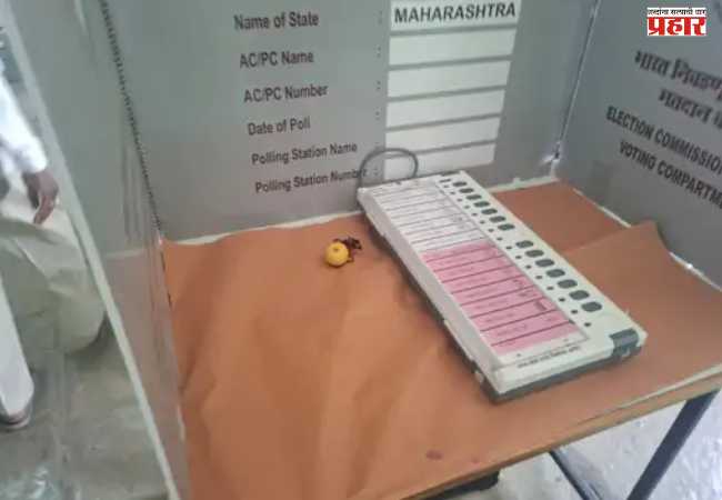 Solapur ZP Election News: सोलापुरात चक्क ईव्हीएम मशीनवर जादूटोणा? मतदारांमध्ये भीतीचं वातावरण