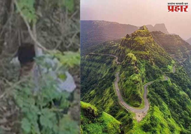 मतदानकरून परत येताना महाडमध्ये दरीत कोसळली कार; चौघेजण....