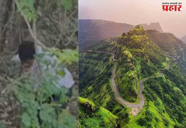 मतदानकरून परत येताना महाडमध्ये दरीत कोसळली कार; चौघेजण….