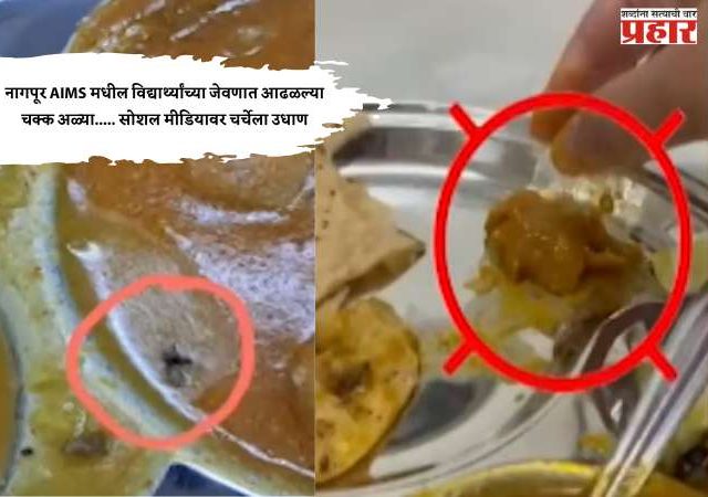 नागपूर AIMS मधील विद्यार्थ्यांच्या जेवणात आढळल्या चक्क अळ्या..... सोशल मीडियावर चर्चेला उधाण