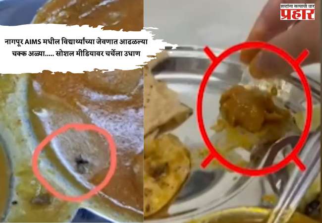 नागपूर AIMS मधील विद्यार्थ्यांच्या जेवणात आढळल्या चक्क अळ्या….. सोशल मीडियावर चर्चेला उधाण