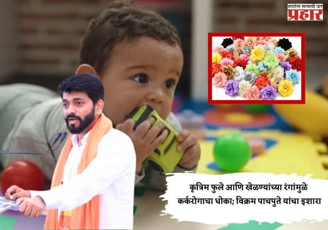कृत्रिम फुले आणि खेळण्यांच्या रंगांमुळे कर्करोगाचा धोका; विक्रम पाचपुते यांचा इशारा
