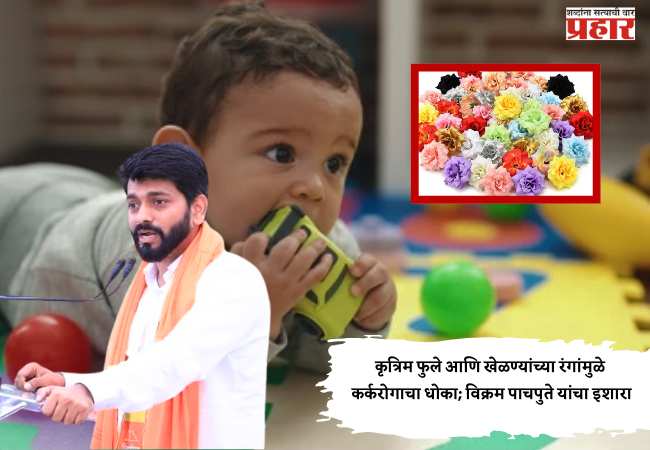 कृत्रिम फुले आणि खेळण्यांच्या रंगांमुळे कर्करोगाचा धोका; विक्रम पाचपुते यांचा इशारा