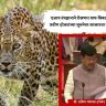 एआय तंत्रज्ञानाने रोखणार वाघ-बिबट्यांचे हल्ले; प्रवीण दरेकरांच्या सूचनेवर सरकारचा मोठा निर्णय