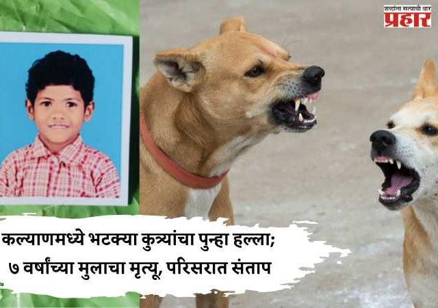 कल्याणमध्ये भटक्या कुत्र्यांचा पुन्हा हल्ला; ७ वर्षांच्या मुलाचा मृत्यू, परिसरात संताप