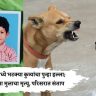 कल्याणमध्ये भटक्या कुत्र्यांचा पुन्हा हल्ला; ७ वर्षांच्या मुलाचा मृत्यू, परिसरात संताप