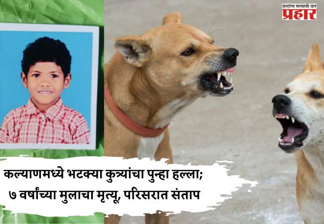 कल्याणमध्ये भटक्या कुत्र्यांचा पुन्हा हल्ला; ७ वर्षांच्या मुलाचा मृत्यू, परिसरात संताप