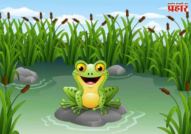 डबक्यातला बेडूक