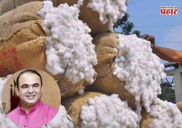 Budget Session : कापूस खरेदीची मुदत १५ मार्चपर्यंत वाढविली