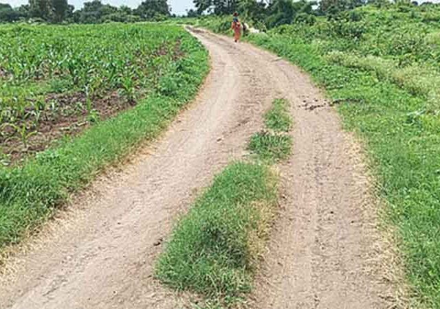 ‘नरेगा’ अंतर्गत मातोश्री ग्रामसमृद्धी पाणंद रस्त्यांना मोठा दिलासा