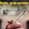 सिगारेट, तंबाखूजन्य पदार्थ वापरणाऱ्यांना फटका बसणार, काय आहे नवीन करप्रणाली?, जाणून घ्या एका क्लिकवर