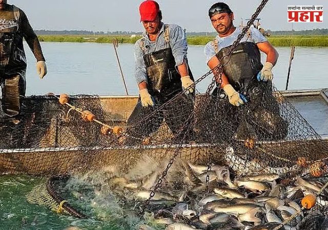 समुद्रात मासे कमी आणि कचराच जास्त; महापालिका सभागृहात कोळी समाजाच्या नगरसेवकांना मांडावी लागली व्यथा