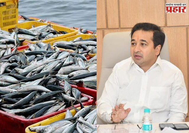 मत्स्य व्यवसाय विभागात डिजिटल क्रांती; मंत्री नितेश राणे यांची संकल्पना