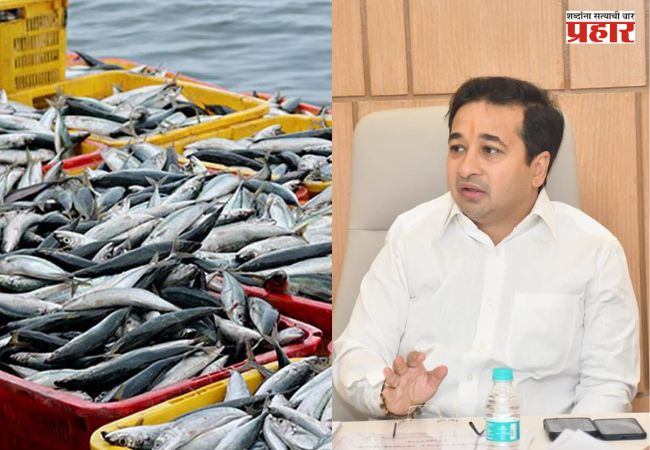 मत्स्य व्यवसाय विभागात डिजिटल क्रांती; मंत्री नितेश राणे यांची संकल्पना