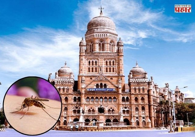 मुंबईत डासांचा प्रादुर्भाव, पण मशिन्स पडल्या बंद