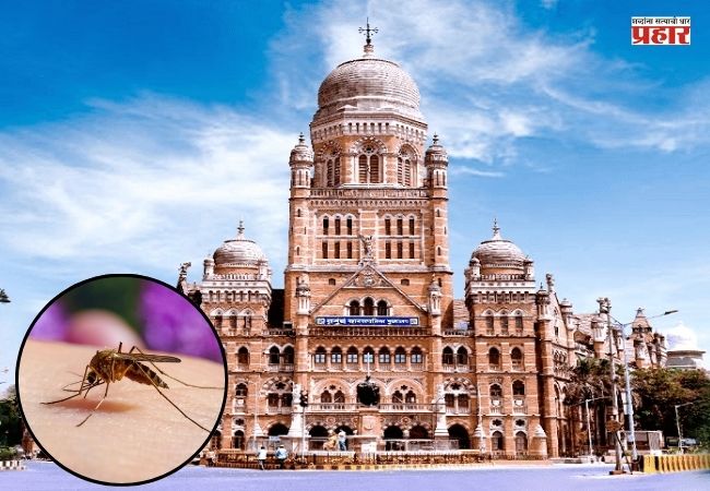 मुंबईत डासांचा प्रादुर्भाव, पण मशिन्स पडल्या बंद