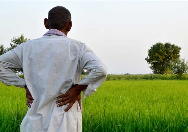 Maha Budget 2026 : गोपीनाथ मुंडे शेतकरी अपघात विमा योजनेचा या लोकांना मिळणार लाभ