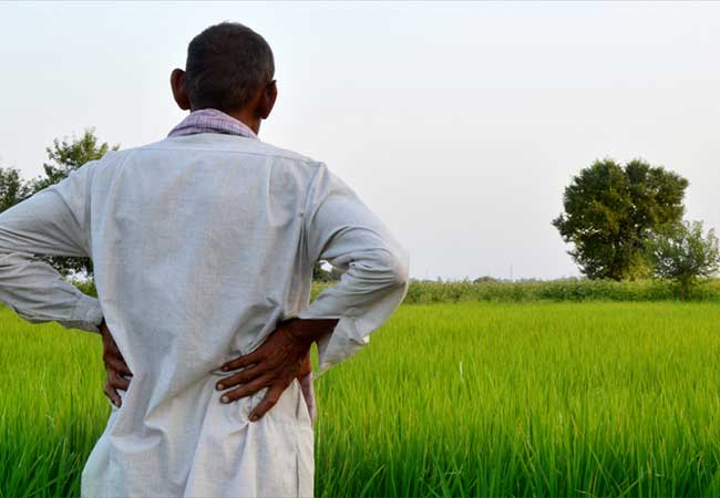 Maha Budget 2026 : गोपीनाथ मुंडे शेतकरी अपघात विमा योजनेचा या लोकांना मिळणार लाभ
