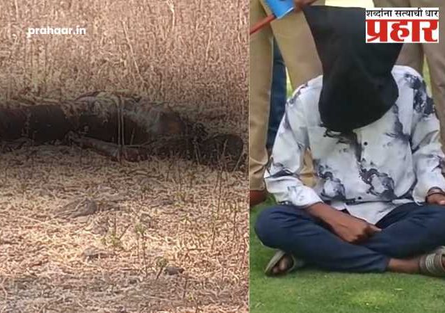 Crime News : यवतमाळ हादरले! अर्धवट जळालेल्या 'त्या' तरुणीच्या मृतदेहाचं गूढ उकललं; पहिला गळा आवळला अन् मृतदेह जाळून....