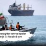 होर्मुजच्या सामुद्रधुनीतून जाणाऱ्या जहाजांवर इराणकडून २० लाख डॉलर्स शुल्क