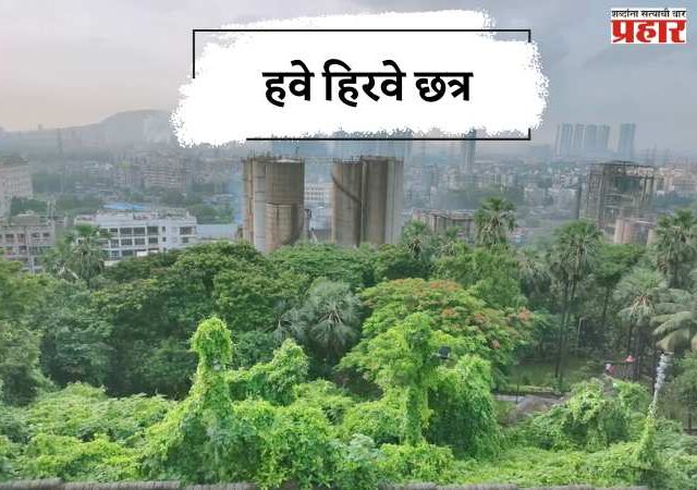 हवे हिरवे छत्र