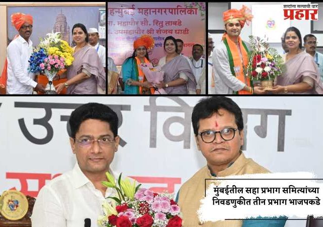 मुंबईतील सहा प्रभाग समित्यांच्या निवडणुकीत तीन प्रभाग भाजपकडे