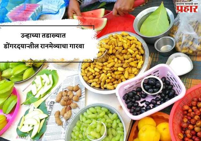 उन्हाच्या तडाख्यात डोंगरदऱ्यातील रानमेव्याचा गारवा