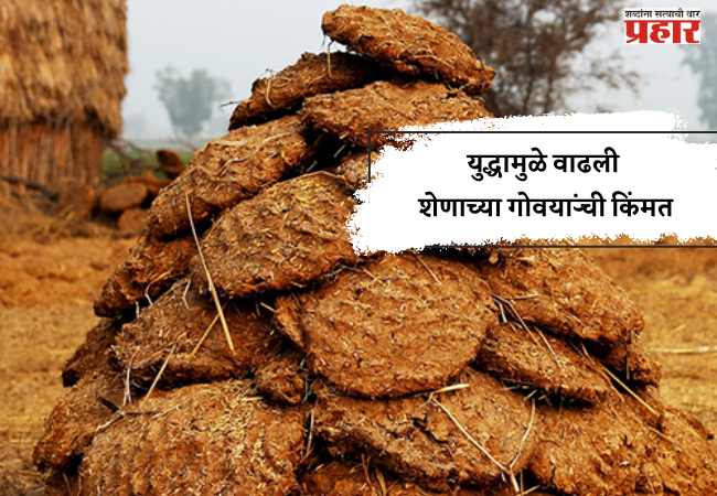 युद्धामुळे वाढली शेणाच्या गोवऱ्यांची किंमत