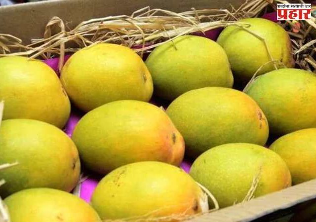 ‘कोकणचा राजा’ जायबंदी!