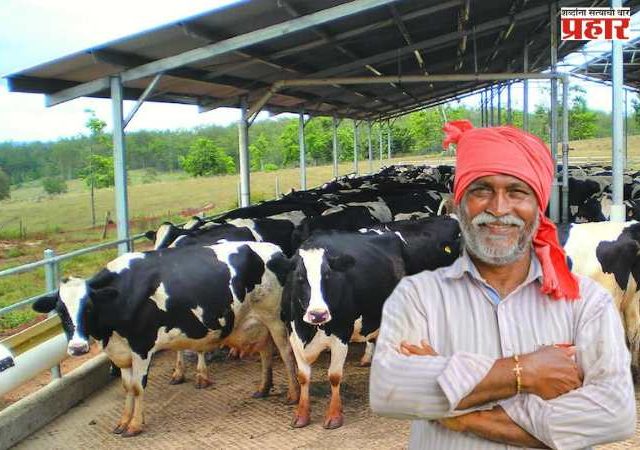 महाराष्ट्रात पशुपालकांसाठी दिलासा; मदतीच्या नियमांत मोठा बदल