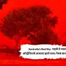 Australia's Red Sky : पाहावे ते नवलच! ऑस्ट्रेलियाचे आकाश झाले लाल; नेमकं कारण काय?