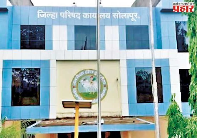 सोलापूर महापालिका व जिल्हा परिषदेवर भाजपचा दबदबा - विरोधी पक्षनेत्याशिवायच कारभार सुरू