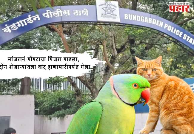 मांजरानं पोपटाचा पिंजरा पाडला, दोन शेजाऱ्यांतला वाद हाणामारीपर्यंत गेला