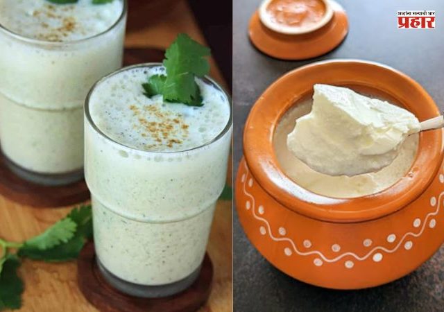 Summer Tips : दही आणि ताक या दोन्हीपैकी उन्हाळ्यात पोटाच्या आरोग्यासाठी काय भारी ? जाणून घ्या