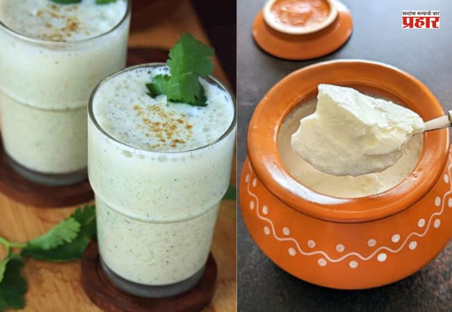 Summer Tips : दही आणि ताक या दोन्हीपैकी उन्हाळ्यात पोटाच्या आरोग्यासाठी काय भारी ? जाणून घ्या