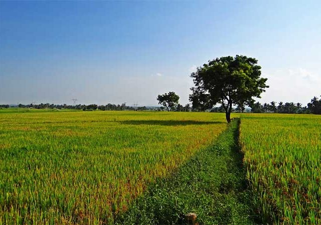 दहा वर्षांनंतरचा '४० पट नजराणा' रद्द, कुळवहिवाट कायद्यात सुधारणा