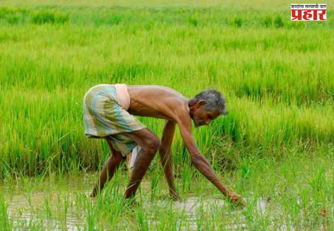 २४ लाख ७३ हजार थकबाकीदार शेतकऱ्यांच्या कर्जमाफीचा मार्ग मोकळा