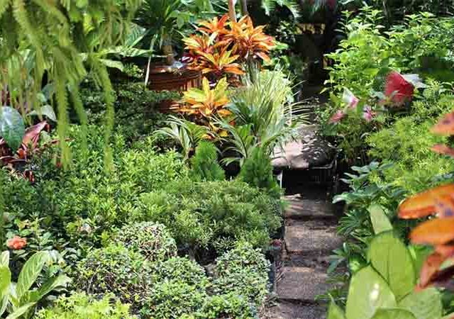 महाराष्ट्राचा हरित निर्देशांक सुधारला