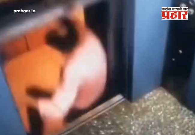 Gujrat Viral Video : काळ आला होता पण वेळ…गुजरातच्या वलसाडमधील लिफ्टचा भीषण अपघात; सीसीटीव्ही फुटेज व्हायरल